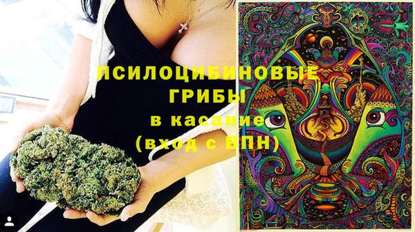 амф Нефтекумск