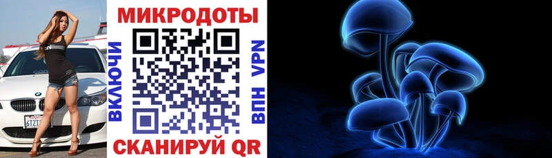 Псилоцибиновые грибы Psilocybine cubensis  Сортавала 